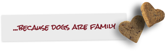 Because dogs are family