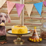 Pâwté Delight liver dog cake
