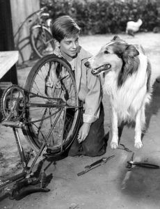 lassie natural way