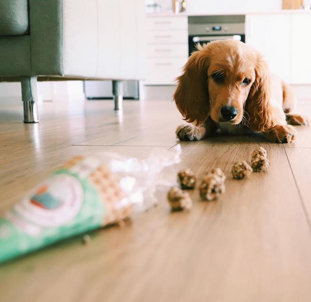 Sardine & Pork Beijinhos Crunchy snacks for dogs by Cooka's Cookies