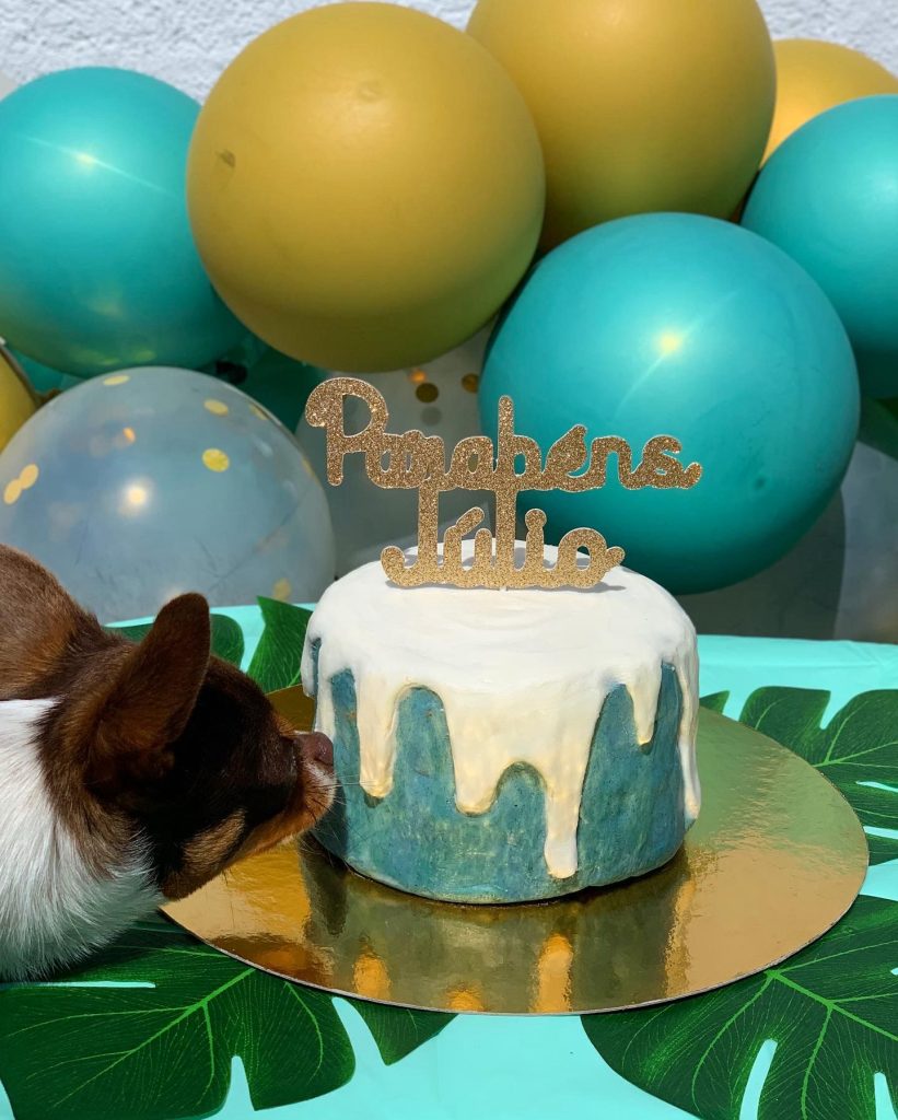 Dripping Cake Fresh Cake for dogs by Cooka's Cookies